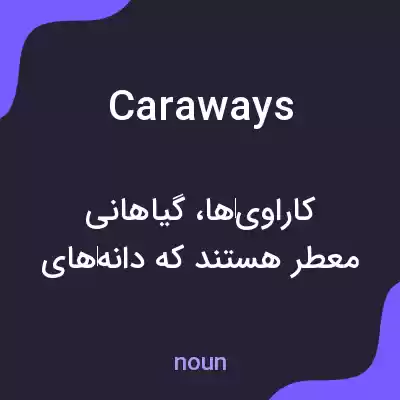 معنی caraways به فارسی