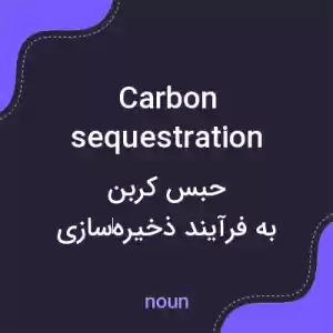 معنی carbon sequestration به فارسی معنی carbon sequestration به فارسی