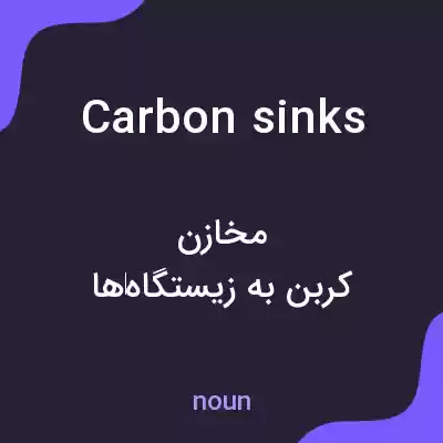 معنی carbon sinks به فارسی معنی carbon sinks به فارسی