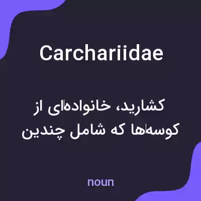معنی carchariidae به فارسی معنی carchariidae به فارسی