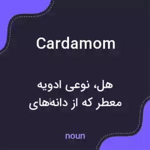 معنی cardamom به فارسی معنی cardamom به فارسی