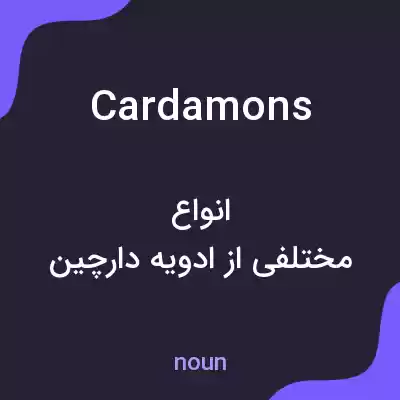معنی cardamons به فارسی معنی cardamons به فارسی