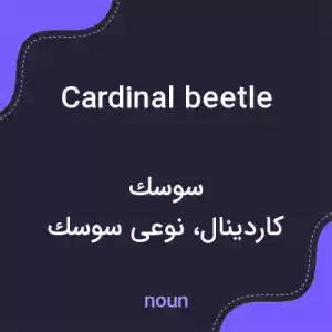 معنی cardinal beetle به فارسی