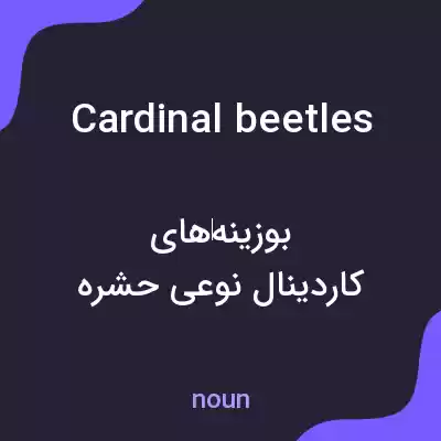 معنی cardinal beetles به فارسی معنی cardinal beetles به فارسی