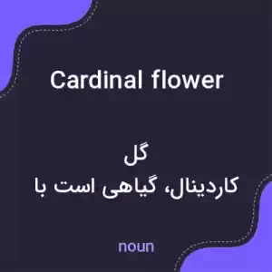 معنی cardinal flower به فارسی