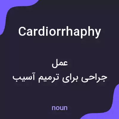 معنی cardiorrhaphy به فارسی معنی cardiorrhaphy به فارسی