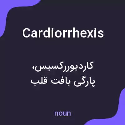 معنی cardiorrhexis به فارسی معنی cardiorrhexis به فارسی