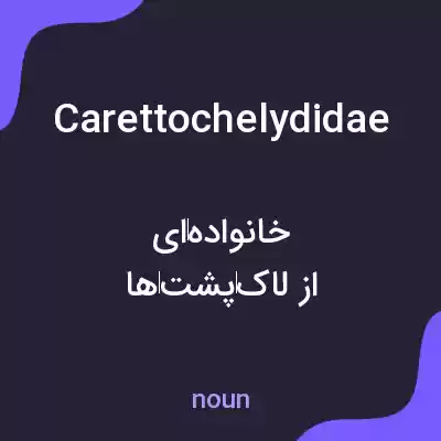 معنی carettochelydidae به فارسی معنی carettochelydidae به فارسی