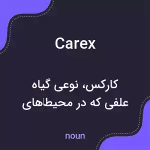 معنی carex به فارسی معنی carex به فارسی