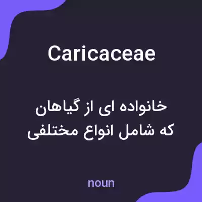 معنی caricaceae به فارسی معنی caricaceae به فارسی