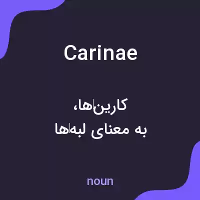 معنی carinae به فارسی معنی carinae به فارسی