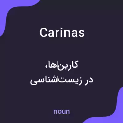 معنی carinas به فارسی معنی carinas به فارسی