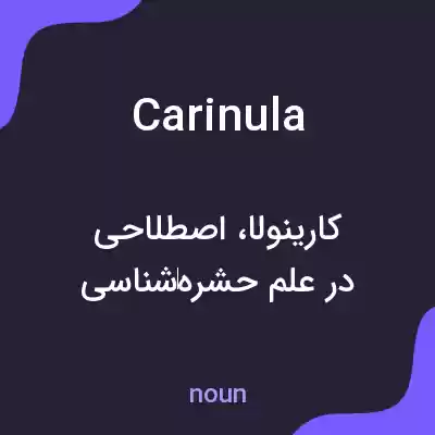معنی carinula به فارسی معنی carinula به فارسی