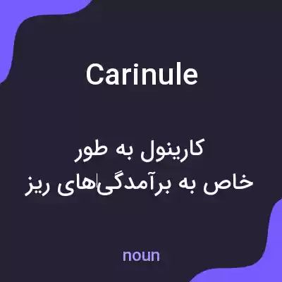 معنی carinule به فارسی
