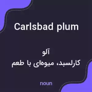 معنی carlsbad plum به فارسی معنی carlsbad plum به فارسی