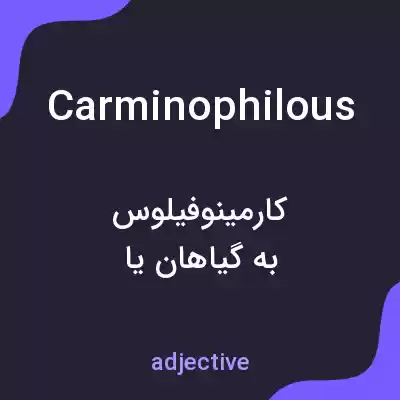 معنی carminophilous به فارسی معنی carminophilous به فارسی