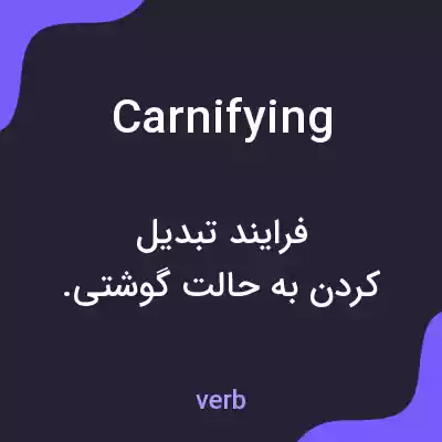 معنی carnifying به فارسی