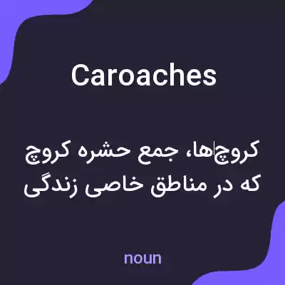 معنی caroaches به فارسی معنی caroaches به فارسی