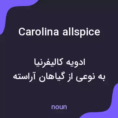 معنی carolina allspice به فارسی معنی carolina allspice به فارسی