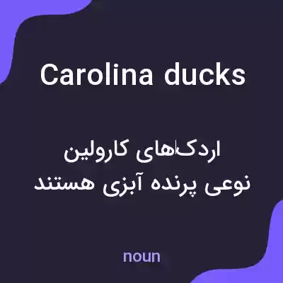 معنی carolina ducks به فارسی معنی carolina ducks به فارسی