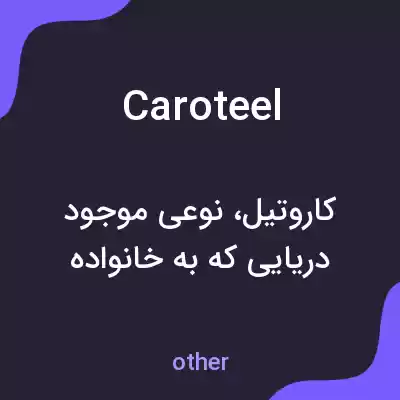 معنی caroteel به فارسی معنی caroteel به فارسی