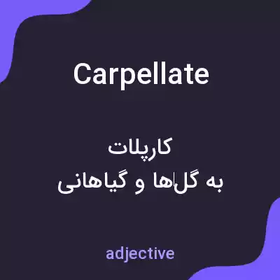 معنی carpellate به فارسی معنی carpellate به فارسی
