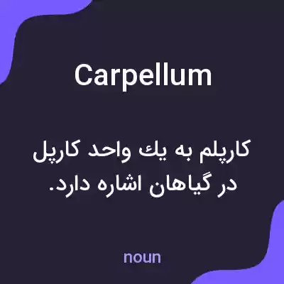 معنی carpellum به فارسی
