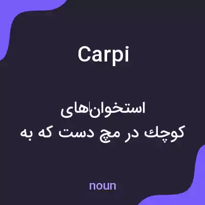 معنی carpi به فارسی معنی carpi به فارسی