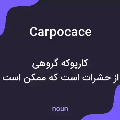 معنی carpocace به فارسی معنی carpocace به فارسی
