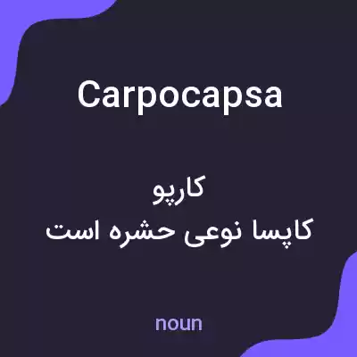 معنی carpocapsa به فارسی معنی carpocapsa به فارسی