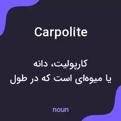 معنی carpolite به فارسی معنی carpolite به فارسی