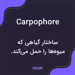معنی carpophore به فارسی