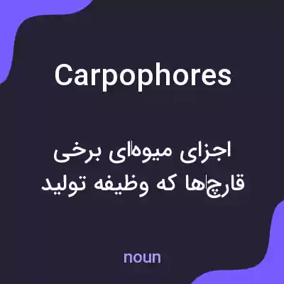 معنی carpophores به فارسی معنی carpophores به فارسی