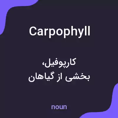 معنی carpophyll به فارسی معنی carpophyll به فارسی