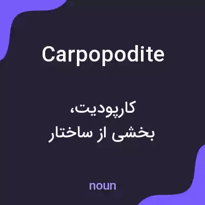 معنی carpopodite به فارسی معنی carpopodite به فارسی