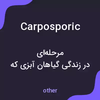 معنی carposporic به فارسی معنی carposporic به فارسی