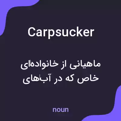 معنی carpsucker به فارسی معنی carpsucker به فارسی