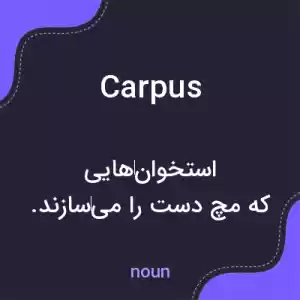 معنی carpus به فارسی معنی carpus به فارسی