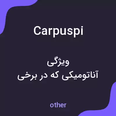 معنی carpuspi به فارسی معنی carpuspi به فارسی
