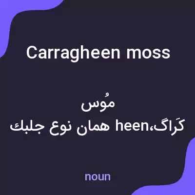 معنی carragheen moss به فارسی معنی carragheen moss به فارسی
