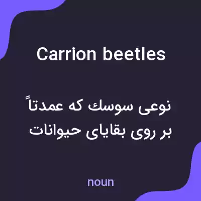 معنی carrion beetles به فارسی معنی carrion beetles به فارسی