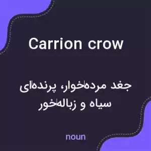 معنی carrion crow به فارسی معنی carrion crow به فارسی
