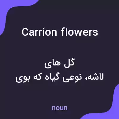معنی carrion flowers به فارسی معنی carrion flowers به فارسی
