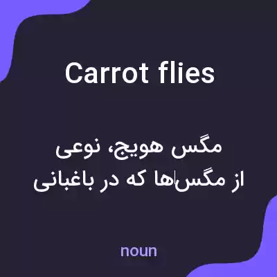 معنی carrot flies به فارسی معنی carrot flies به فارسی