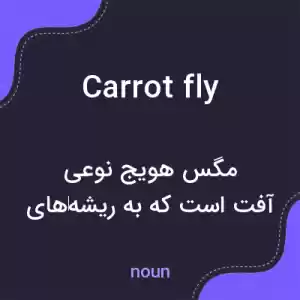 معنی carrot fly به فارسی معنی carrot fly به فارسی