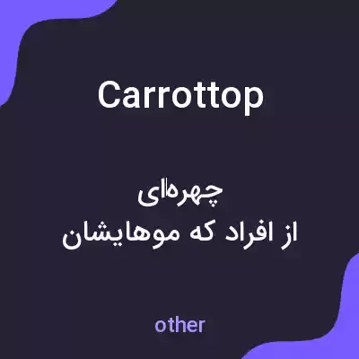 معنی carrottop به فارسی معنی carrottop به فارسی