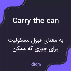 معنی carry the can به فارسی معنی carry the can به فارسی