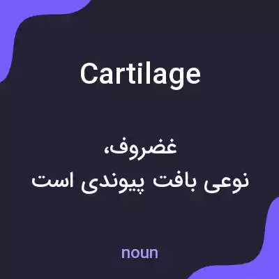 معنی cartilage به فارسی معنی cartilage به فارسی