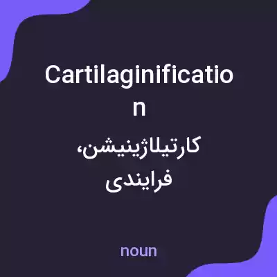 معنی cartilaginification به فارسی معنی cartilaginification به فارسی