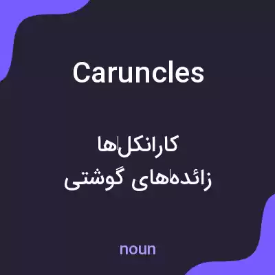 معنی caruncles به فارسی معنی caruncles به فارسی